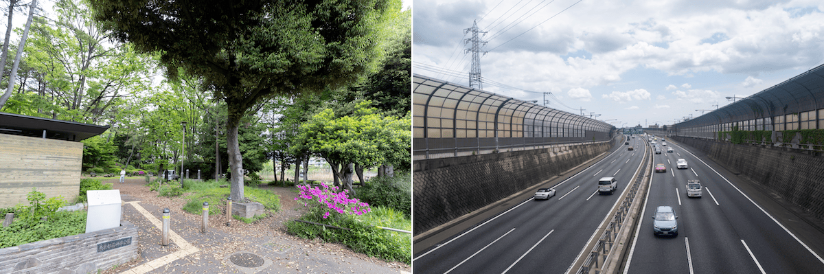 公園と高速道路